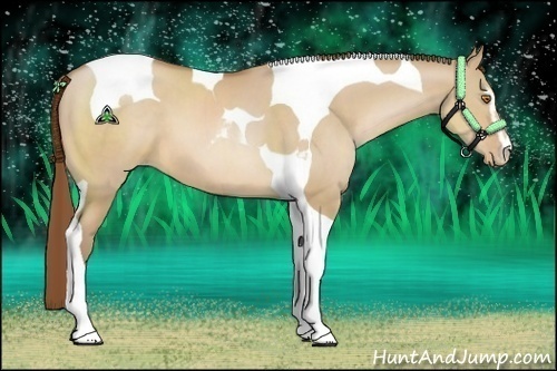 Horse Color:Brown Pearl Dun Sabino Tobiano