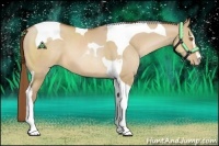 Horse Color:Brown Pearl Dun Sabino Tobiano