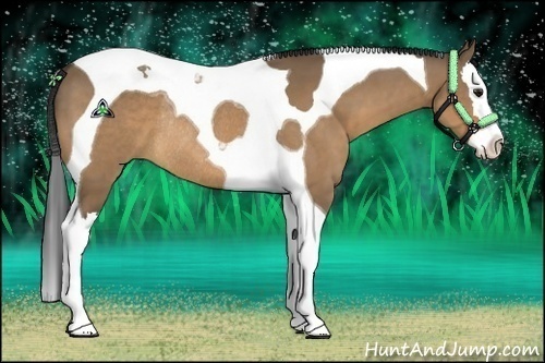 Horse Color:Brown Dun Splash Tobiano Rabicano