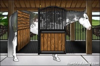 Horse Color:Black Sabino Splash