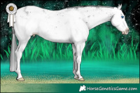 Horse Color:Black Sabino Splash 