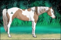 Horse Color:Black Pearl Splash Tobiano 