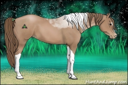 Horse Color:Black Pearl Sabino Tobiano 