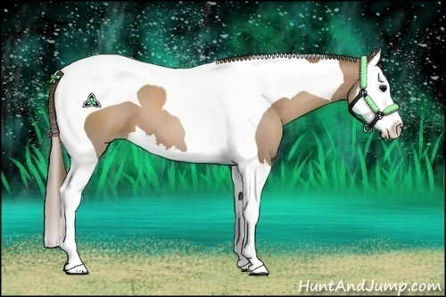 Horse Color:Black Pearl Sabino Splash Tobiano 