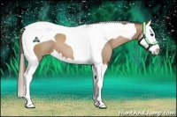 Horse Color:Black Pearl Sabino Splash Tobiano 