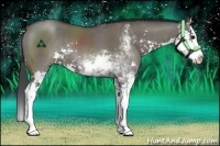 Horse Color:Grullo Sabino Splash Rabicano