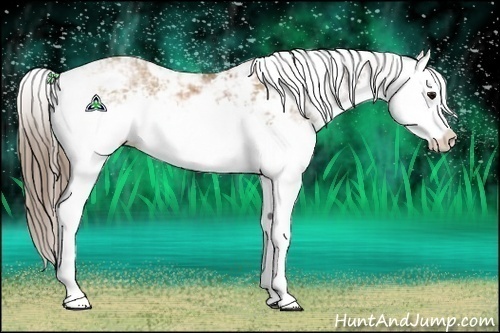 Horse Color:Black Pearl Sabino Splash 
