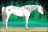 Horse Color:Black Pearl Sabino Splash 