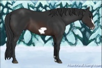 Horse Color:Brown Frame 