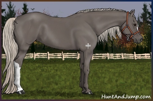 Horse Color:Silver Black 