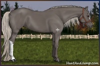 Horse Color:Silver Black 