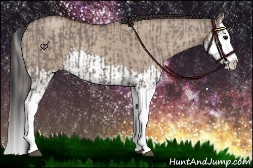 Horse Color:Grullo Sabino Splash  and Classic Champagne Dun Sabino Splash 