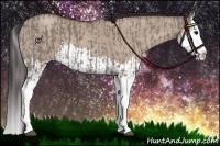 Horse Color:Grullo Sabino Splash and Classic Champagne Dun Sabino Splash