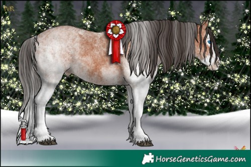 Horse Color:White Spotted Bay Splash