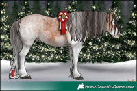 Horse Color:White Spotted Bay Splash