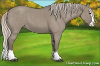Horse Color:Silver Grullo Roan Splash