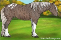 Horse Color:Silver Brown Ice Tobiano Varnish 