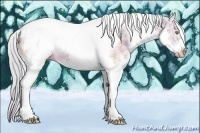 Horse Color:Watercolor White Spotted Silver Sable Champagne Tobiano Frame