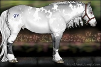 Horse Color:White Spotted Silver Buckskin Chinchilla Appaloosa