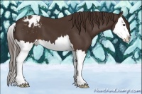 Horse Color:Liver Chestnut Splash Varnish