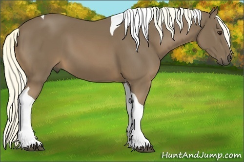 Horse Color:Chestnut Tobiano 