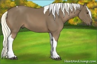 Horse Color:Chestnut Tobiano