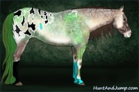 Horse Color:Red Onyx Ice Roan Appaloosa 