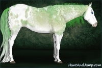 Horse Color:Watercolor Liver Red Onyx Ice Splash Appaloosa 