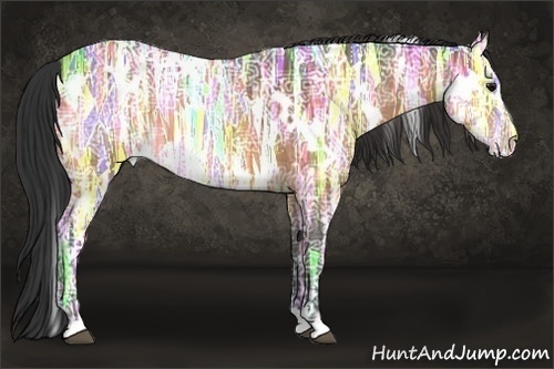 Horse Color:White Spotted Brown Ice Appaloosa 