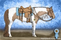 Horse Color:Black Pearl Tobiano Rabicano 