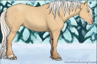 Horse Color:Silver Amber Cream Champagne Sabino 