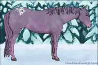 Horse Color:Watercolor Chestnut Appaloosa 