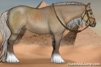 Horse Color:Silver Grullo Sabino 