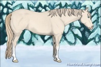 Horse Color:Chocolate Perlino 