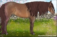 Horse Color:Chocolate Brown 