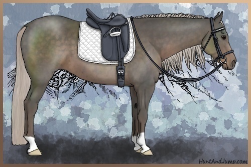 Horse Color:Silver Black 