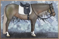 Horse Color:Silver Black 