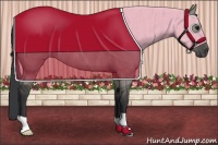 Horse Color:Grullo Rabicano 