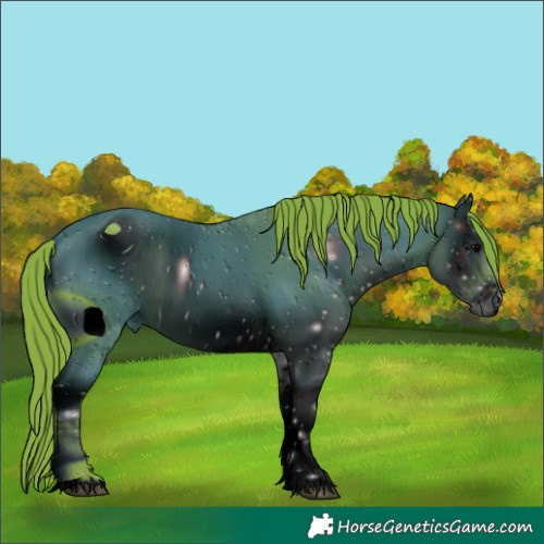 Horse Color:ERROR: UNKNOWN ANOMALY