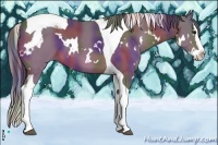 Horse Color:Nacre White Spotted Brown Splash Tobiano 