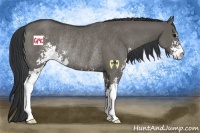 Horse Color:Grullo Sabino Rabicano