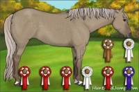 Horse Color:Silver Grullo