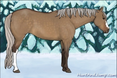 Horse Color:Silver Brown Dun 