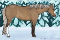 Horse Color:Silver Brown Dun