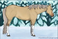 Horse Color:Silver Brown Dun