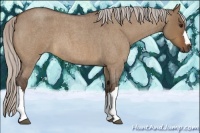 Horse Color:Silver Brown Roan Dun 