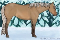 Horse Color:Silver Bay Dun 