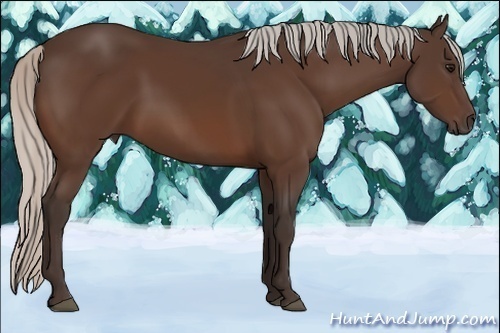Horse Color:Silver Brown 