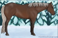 Horse Color:Silver Brown