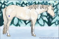 Horse Color:White Spotted Perlino Dun Varnish 